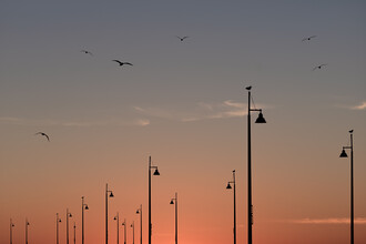 AJ Schokora, Birds on the Pier (Verenigde Staten, Noord-Amerika)