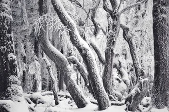 Winterlabyrint - Fineart-fotografie door Alex Wesche