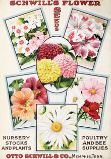 Vintage Nature Graphics, Schwill's Flower Seeds (Duitsland, Europa)
