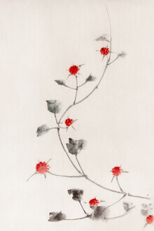 Japanse vintage kunst, kleine rode bloesems op een wijnstok door Katsushika Hokusai (Japan, Azië)