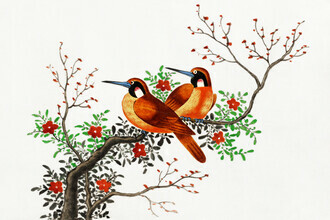 Vintage Nature Graphics, Chinees schilderij met twee vogels op een bloeiende boomtak (Duitsland, Europa)