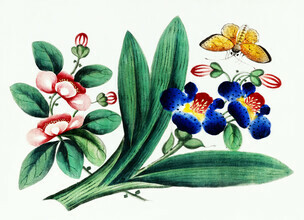 Vintage Nature Graphics, Chinees schilderij met bloemen en een vlinder (Duitsland, Europa)