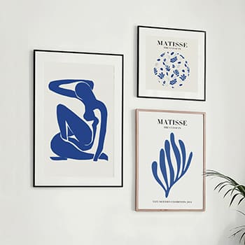 Imágenes de Matisse