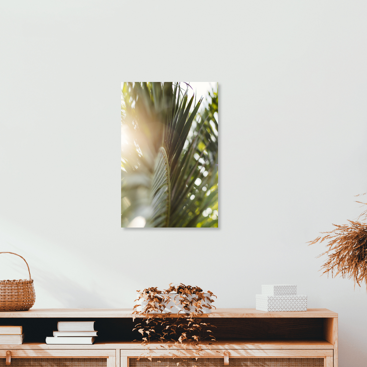 Nadja Jacke Fotokunst Palme Palmenwedel leuchtet im Nadja Jacke Fotokunst Palme Palmenwedel leuchtet im