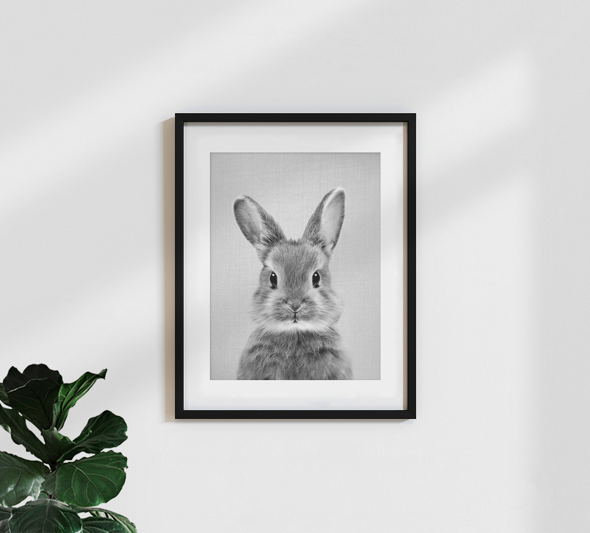 Gal Pittel Fotokunst 'Baby Rabbit Black & White' Photocircle