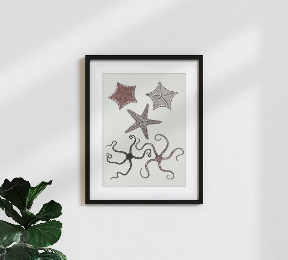 Society6 ケース VINTAGE STARFISH by Studio70 Vintage Starfish Art Glass Dish Gold Textured Artisan Ocean