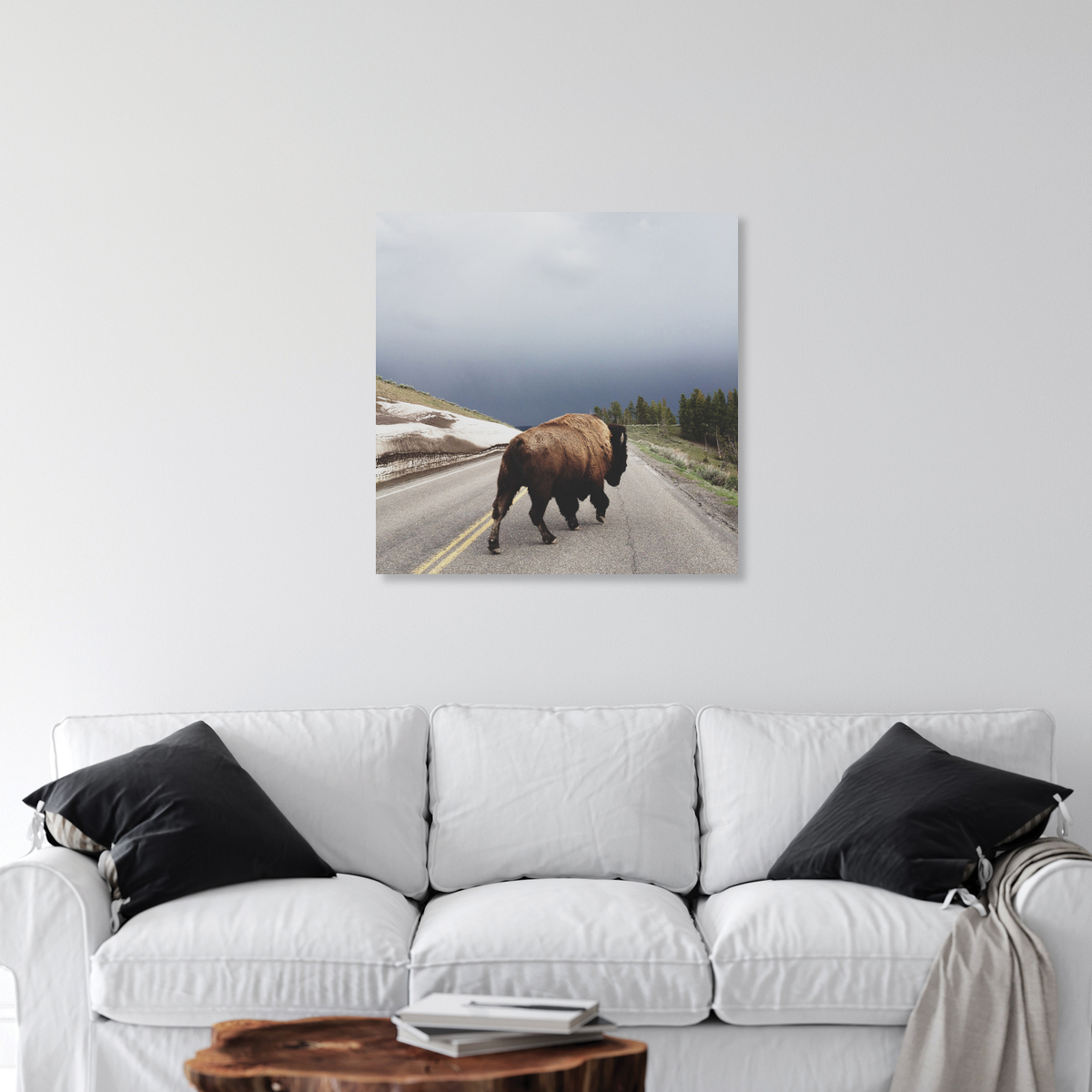 Kevin Russ Street Bison Photocircle