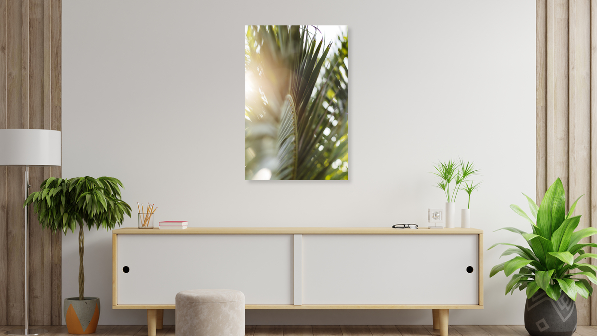 Nadja Jacke Fotokunst Palme Palmenwedel leuchtet im Nadja Jacke Fotokunst Palme Palmenwedel leuchtet im