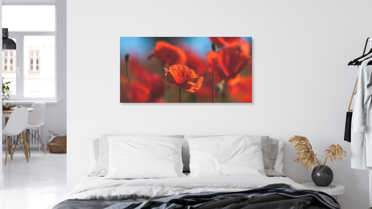 Acrylglasbilder 100x50 Wandbild Druck Mohnblumen Pflanzen 
