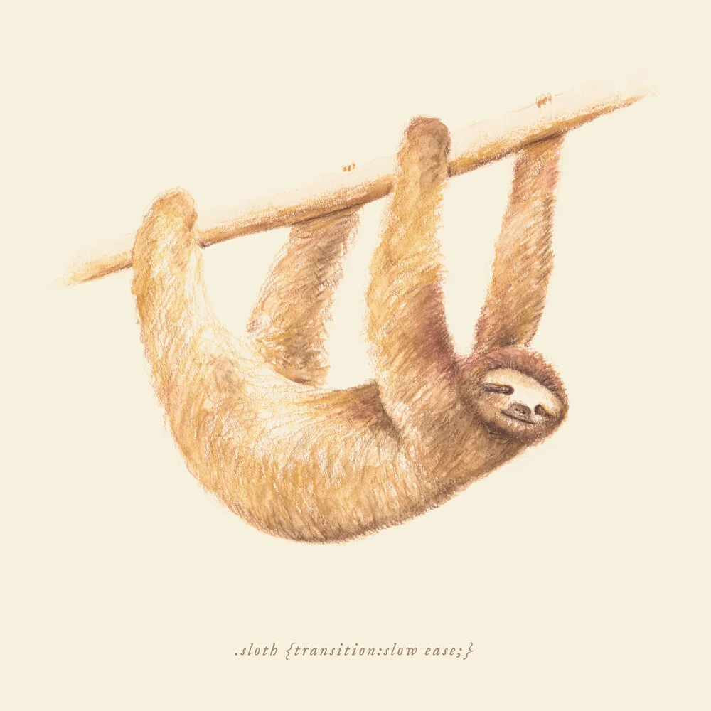 Sloth - Fineart photography by Florent Bodart