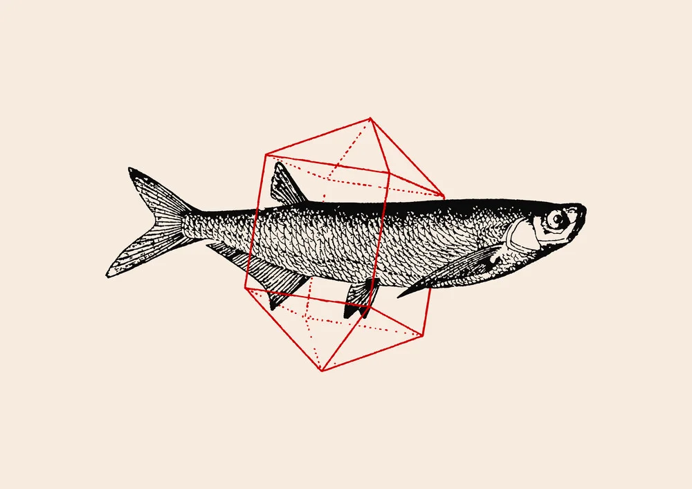 Fish in Geometrics - fotokunst von Florent Bodart