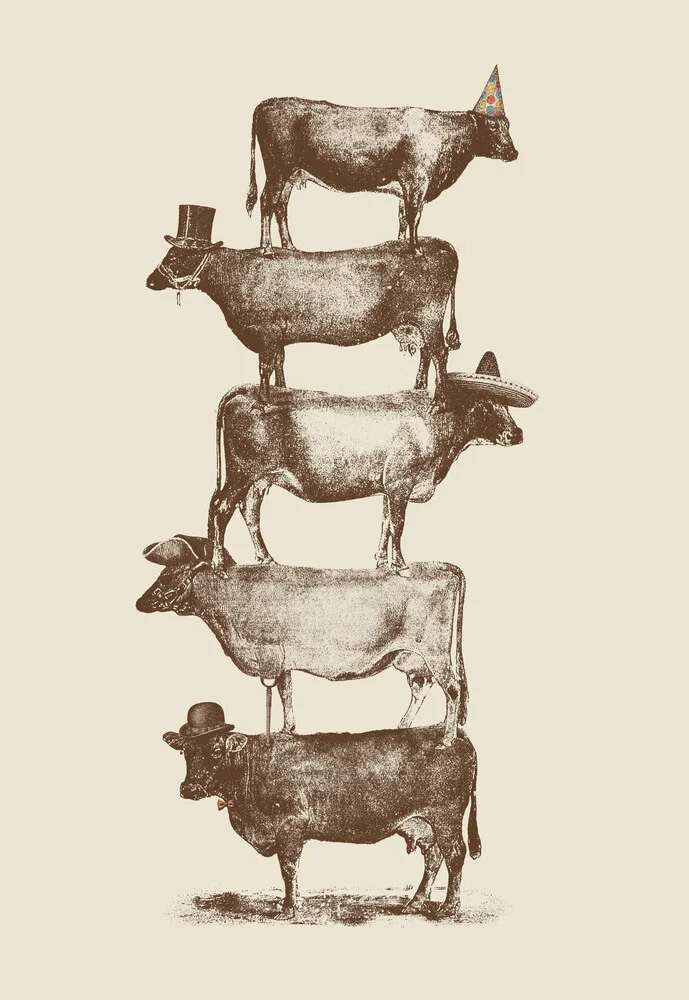 Cow Cow Nuts - fotokunst von Florent Bodart