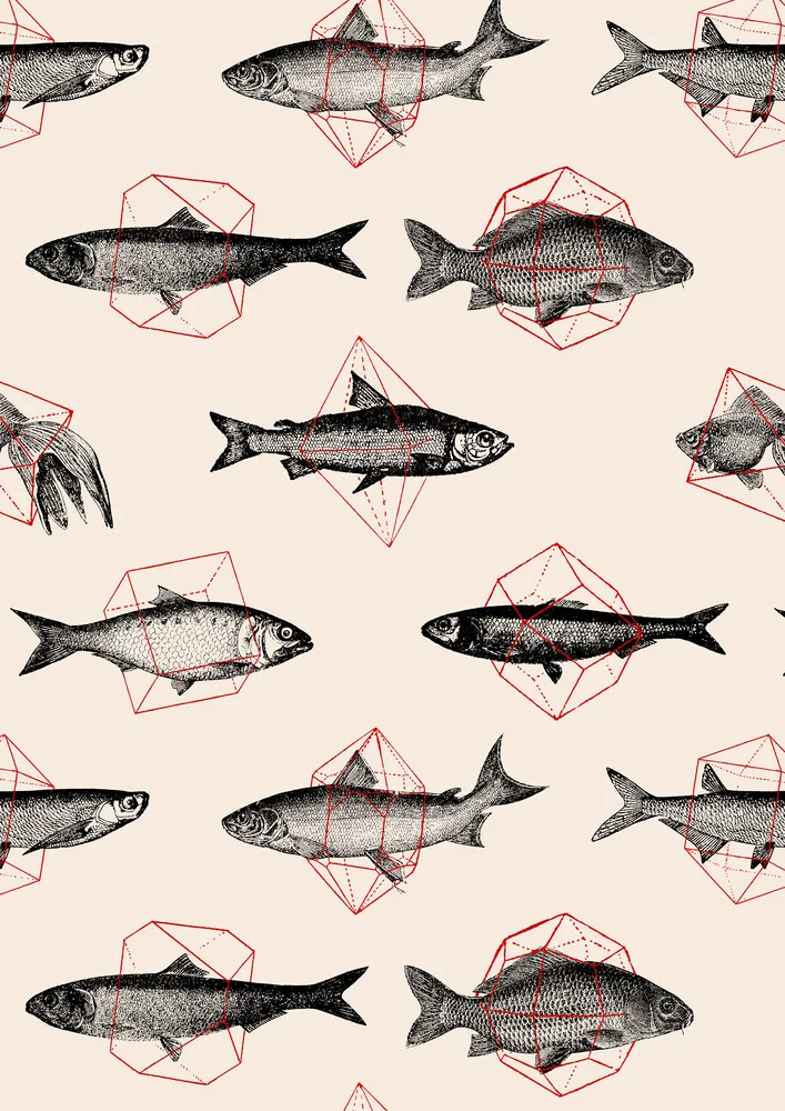 Fish in Geometrics II - fotokunst von Florent Bodart