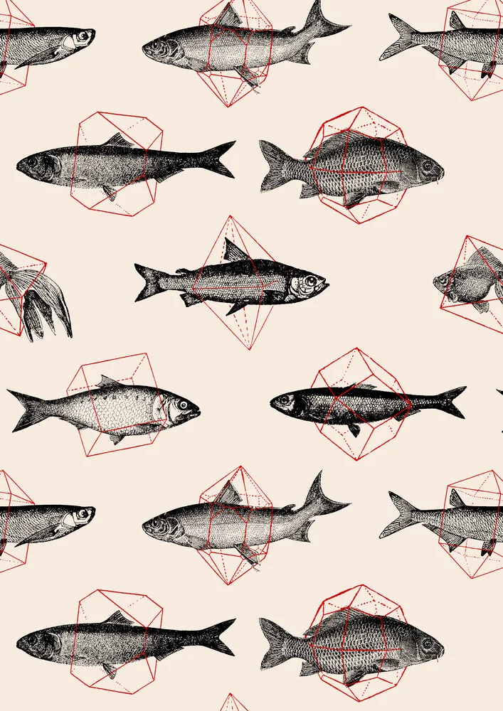 Fish in Geometrics II - Fineart photography by Florent Bodart