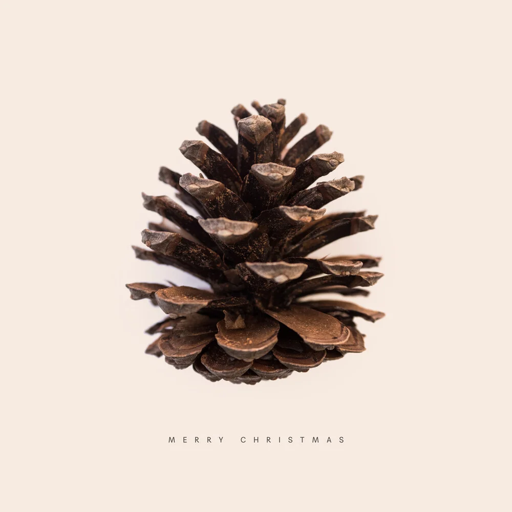 Merry Christmas Pine Cone - Fineart photography by Florent Bodart