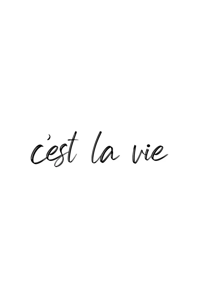 C'est la vie - fotokunst von Typo Art