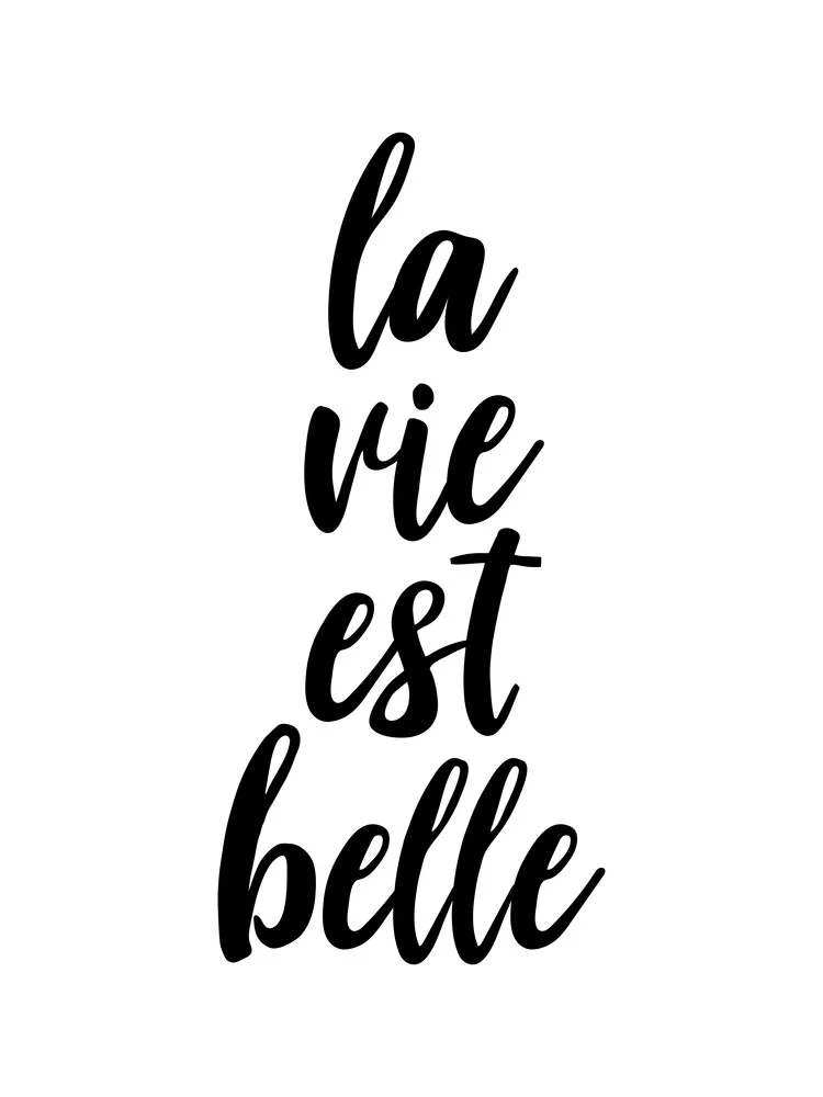 La vie eat belle - Fineart photography by Typo Art