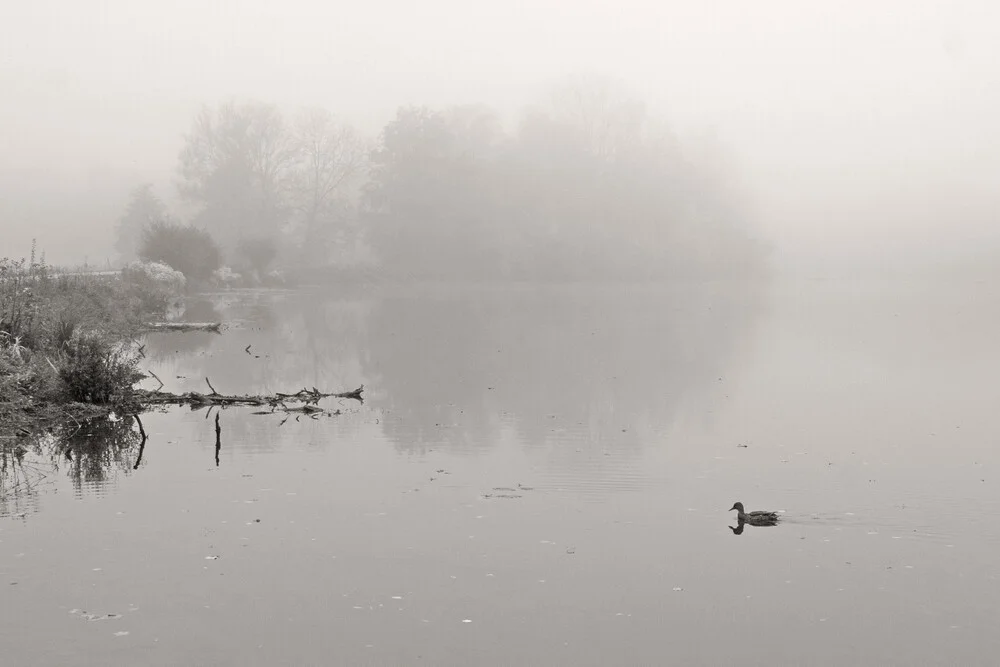 Schwebend im Nebel - fotokunst von Lena Weisbek