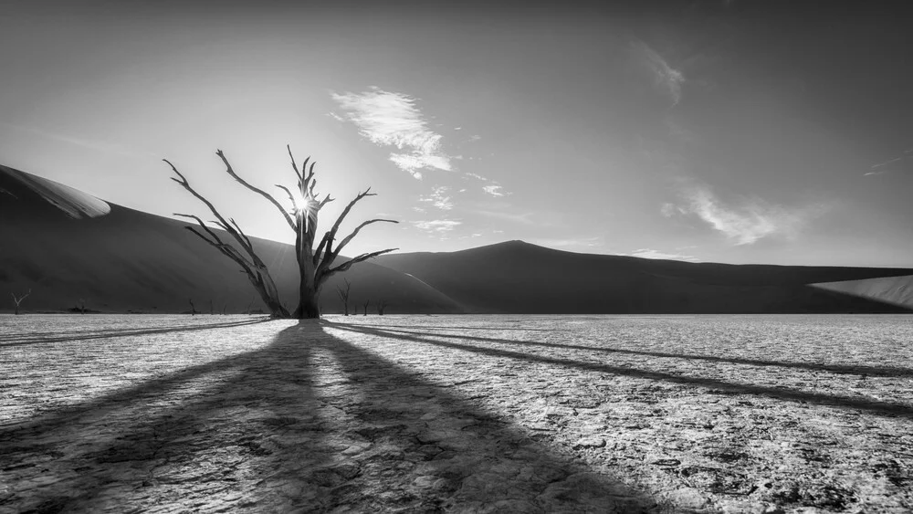 Dead Vlei Sossusvlei Namibia - fotokunst von Dennis Wehrmann