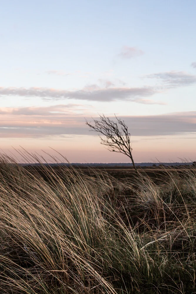 At The Coast 4 - fotokunst von Mareike Böhmer