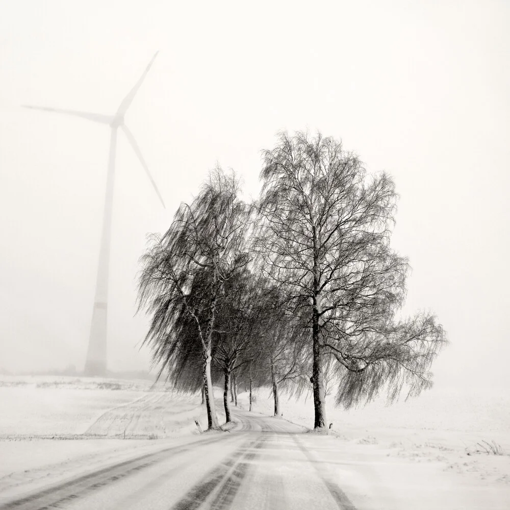 Winter Road Trip - fotokunst von Lena Weisbek
