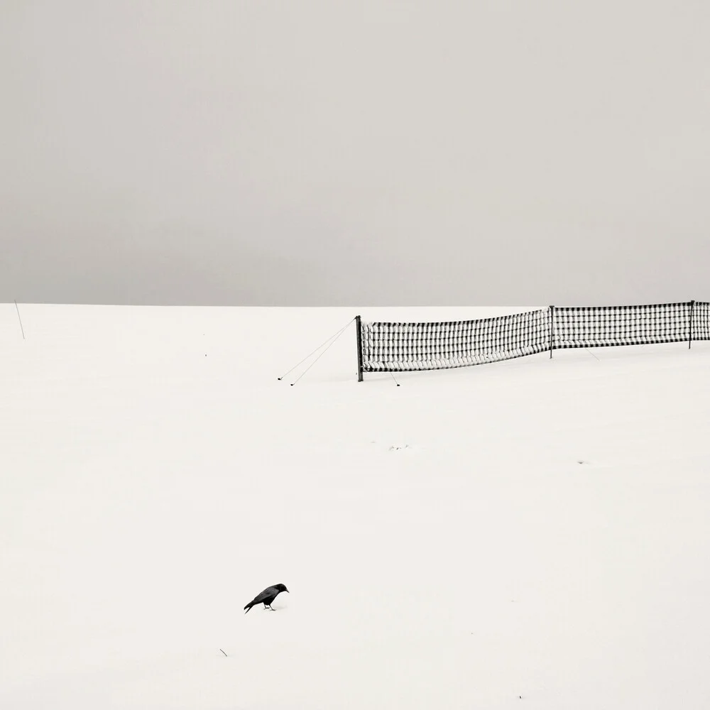 Der Vogel - fotokunst von Lena Weisbek