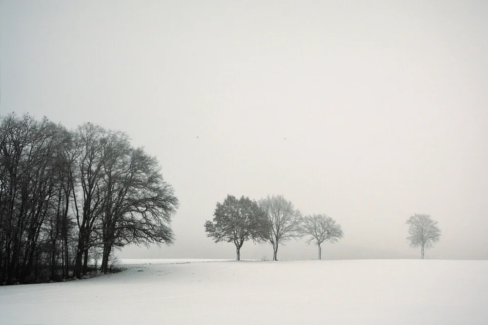 Stiller Winter Tag - fotokunst von Lena Weisbek