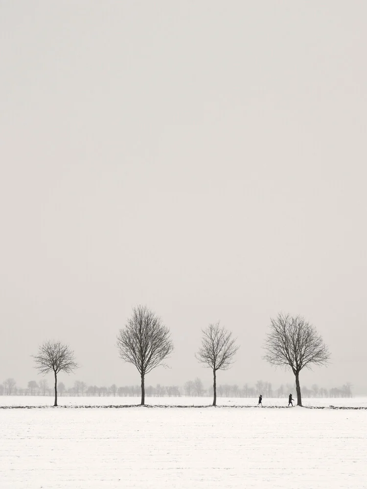 Winter Spaziergang - fotokunst von Lena Weisbek