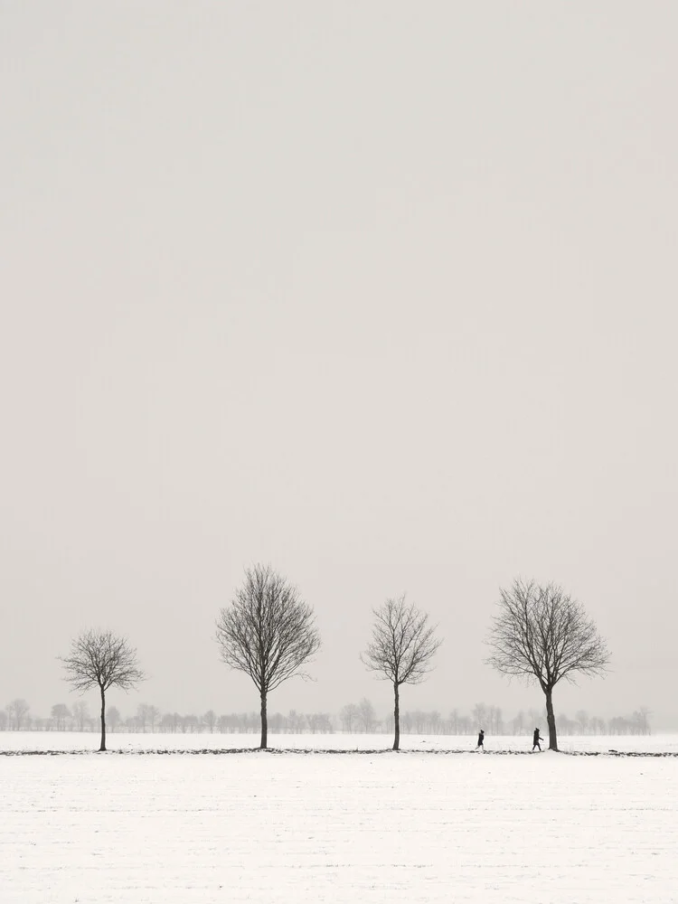 WINTER WALK - Fineart photography by Lena Weisbek