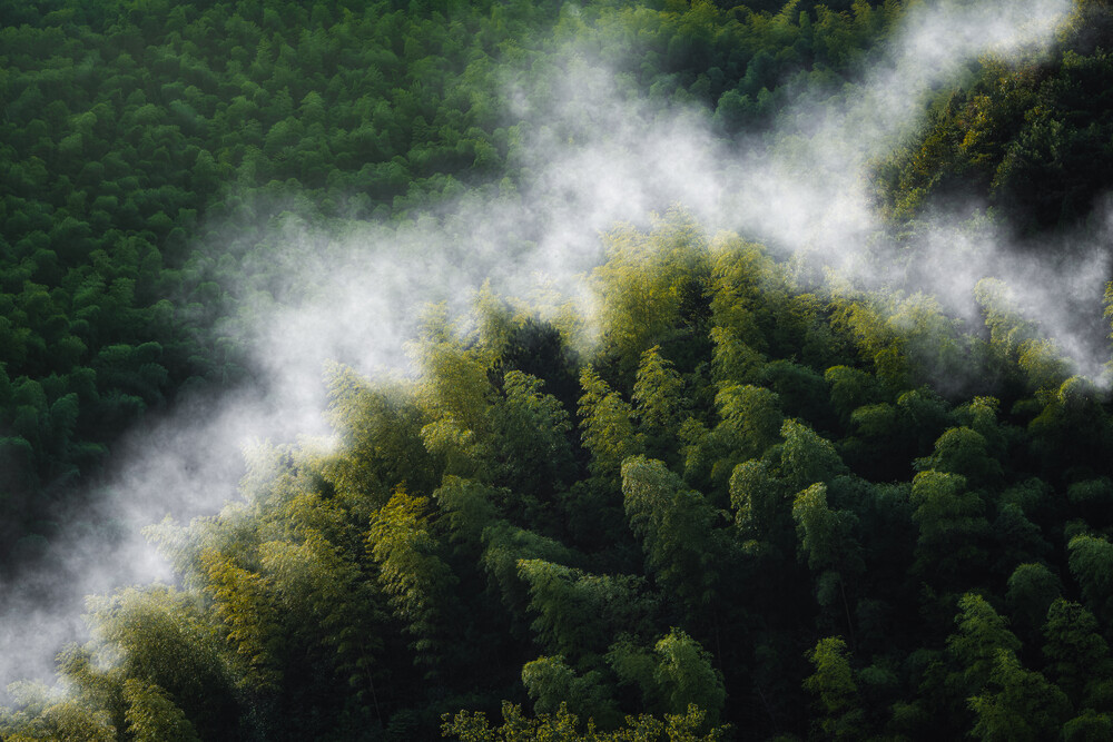 Misty Mountain Hop (pt. II) - Fineart photography by AJ Schokora