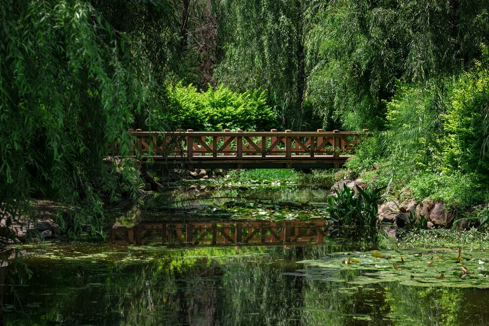 Lush Green - fotokunst von AJ Schokora