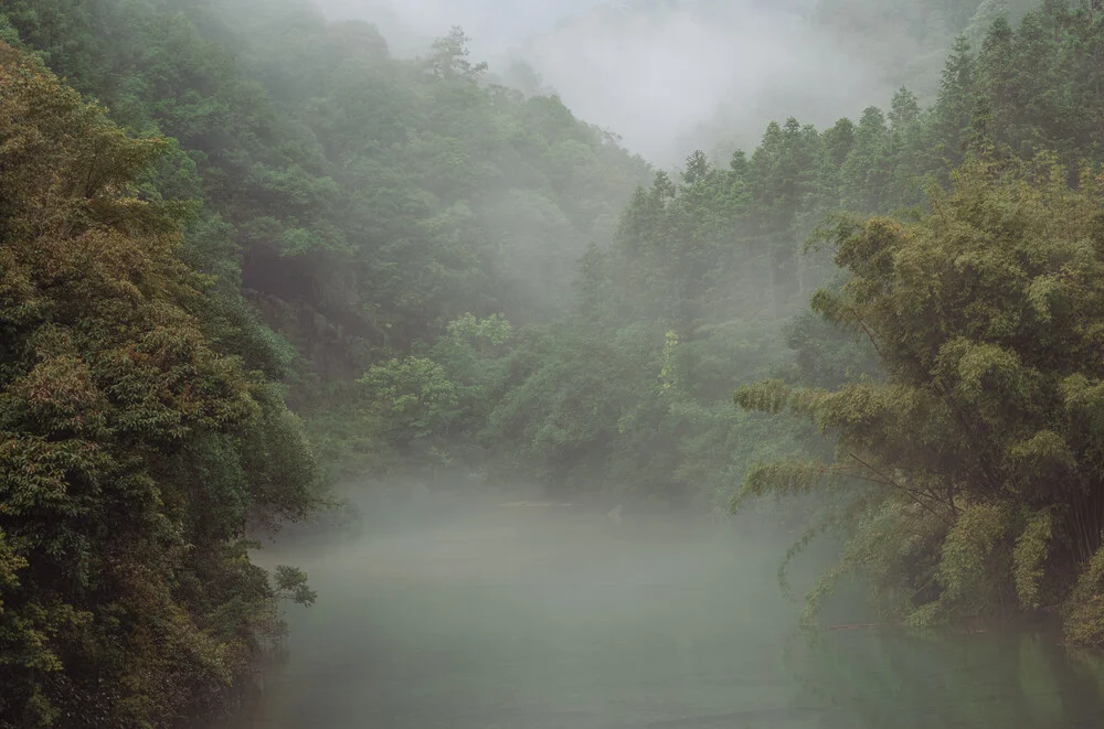 Misty Mountain - fotokunst von AJ Schokora