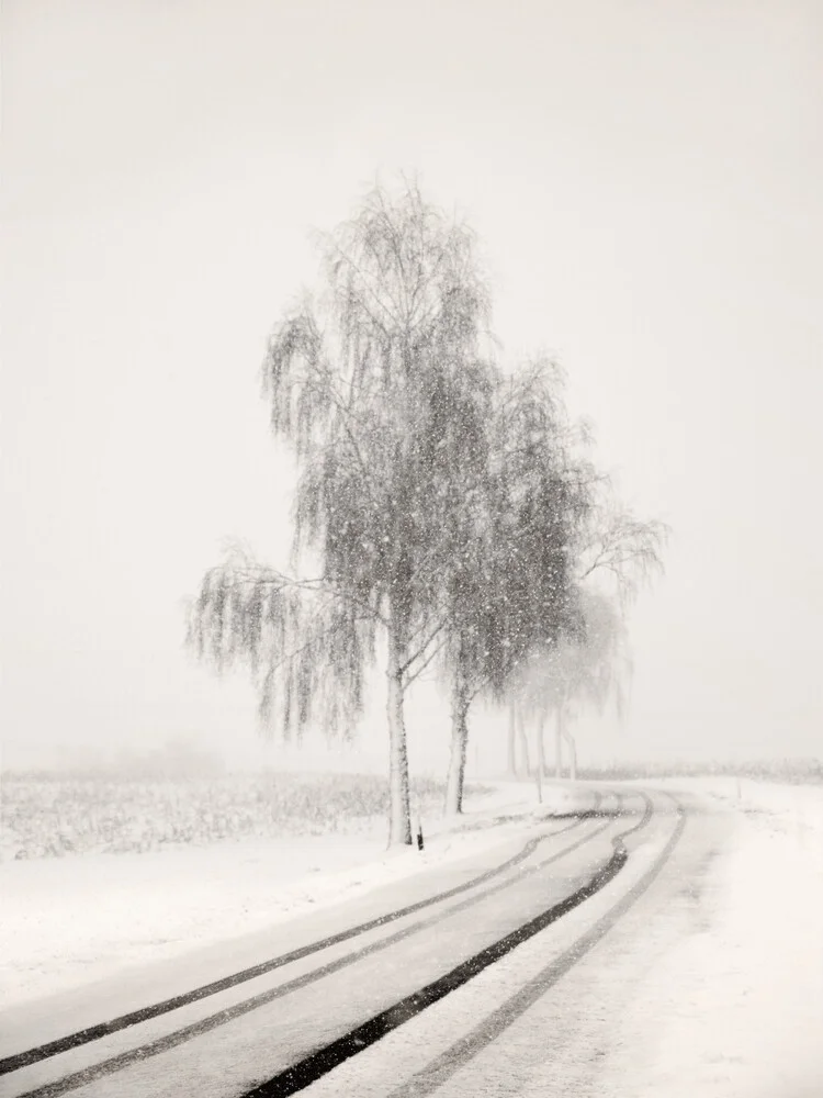 Snowy Road - fotokunst von Lena Weisbek