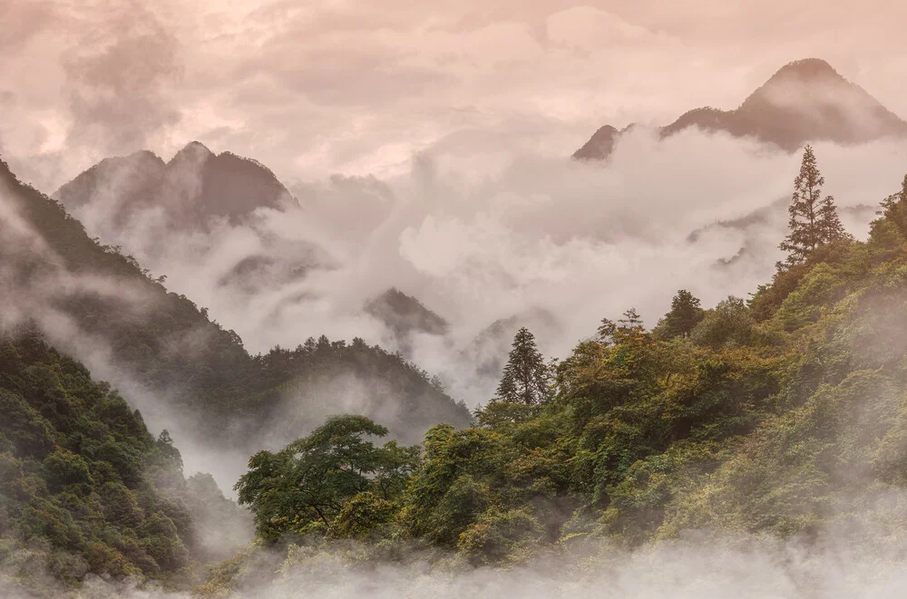 Last Light Misty Mountain - fotokunst von AJ Schokora