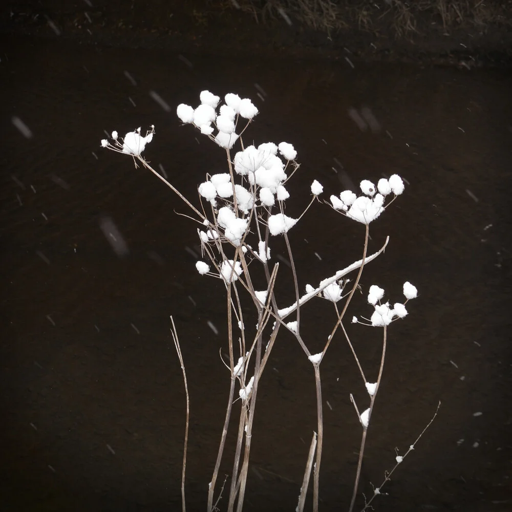 Snowfall By The River - Fineart photography by Lena Weisbek