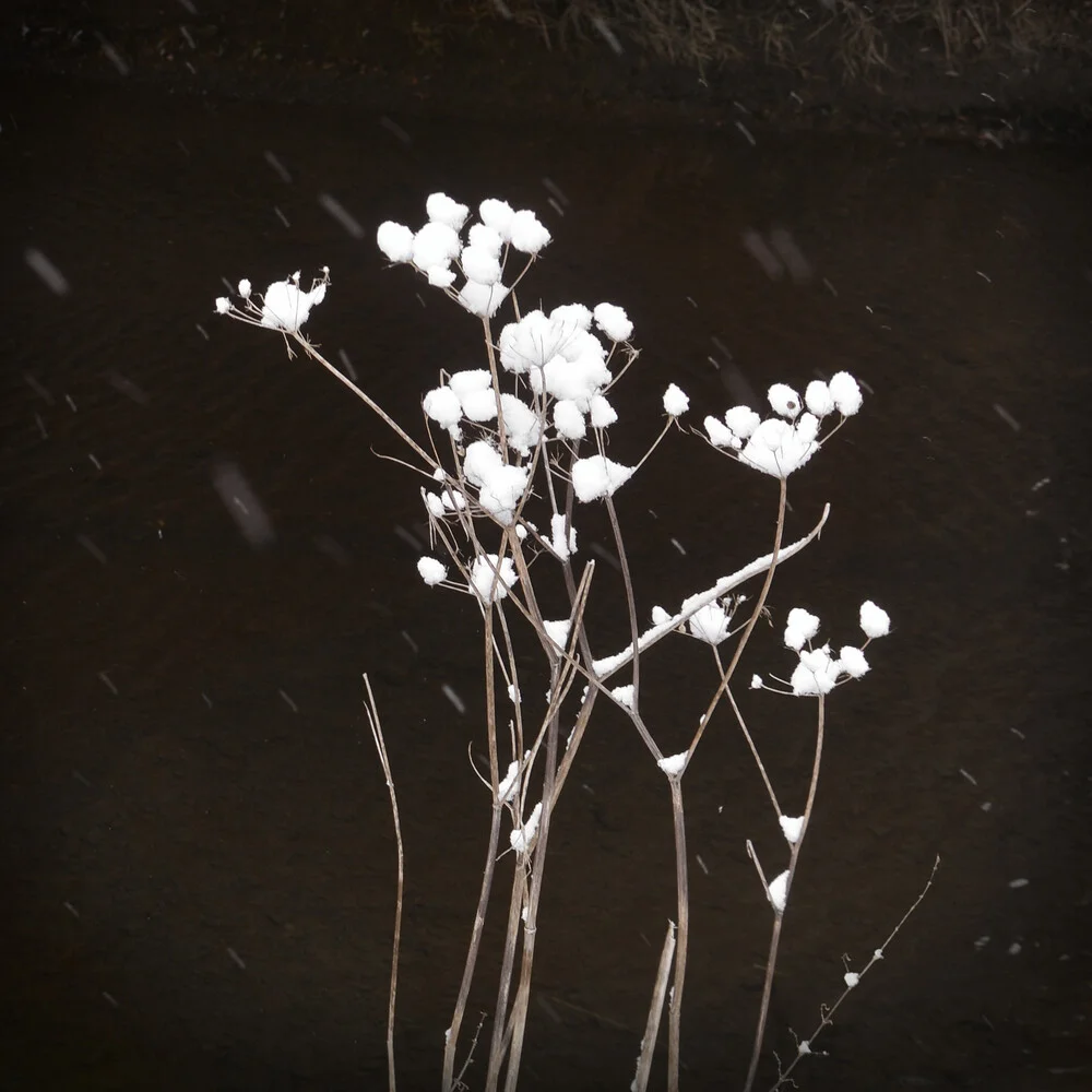 Schneefall am Fluß - fotokunst von Lena Weisbek