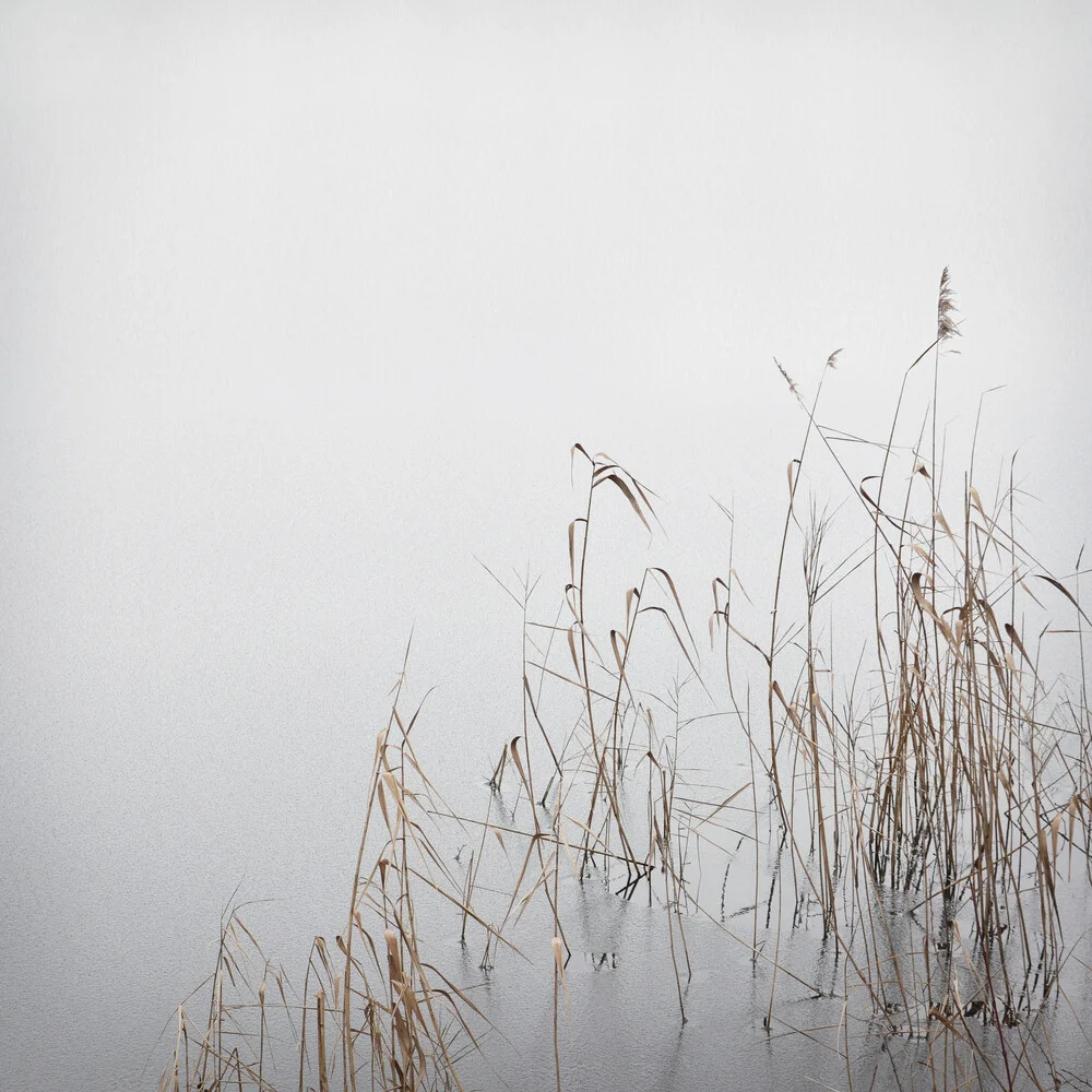 Grey January - fotokunst von Lena Weisbek