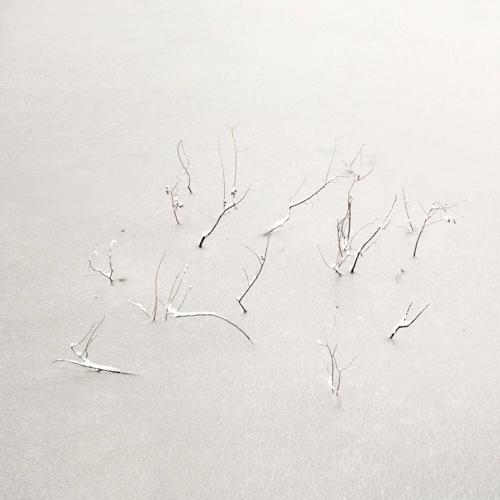 Frozen Life - Fineart photography by Lena Weisbek