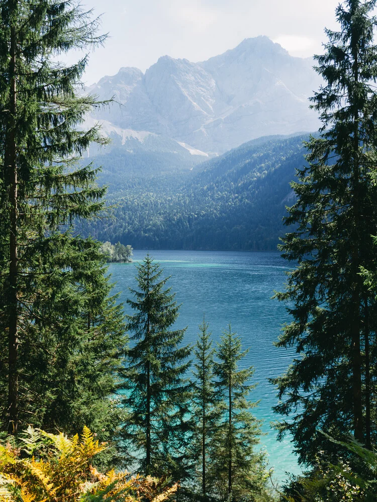 Eibsee - fotokunst von Thomas Richter