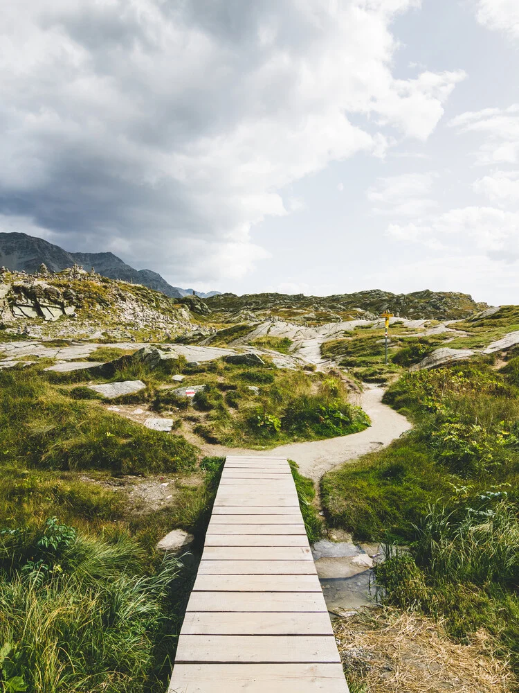 Roam in the Swiss Mountains - Fineart photography by Thomas Richter