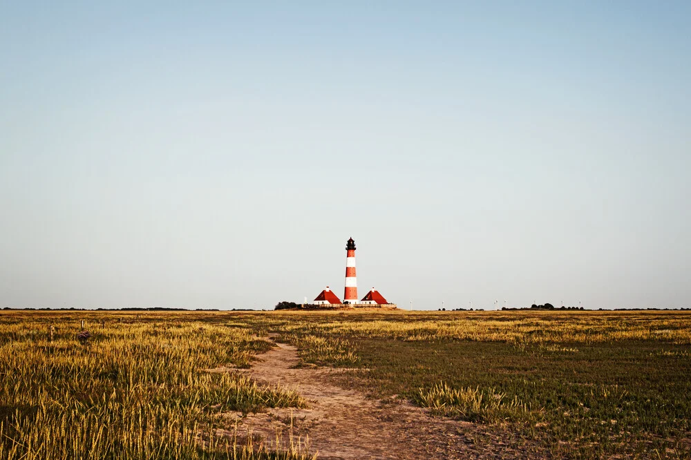 Westerhever Salzwiesen - fotokunst von Manuela Deigert