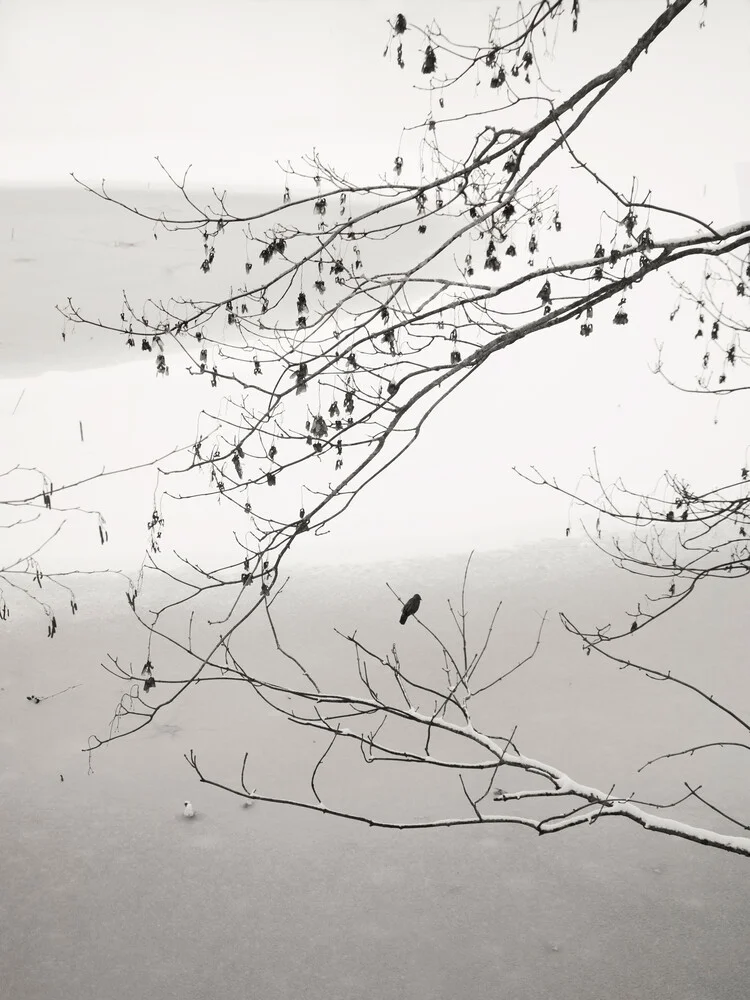 On The Frozen Pond - Fineart photography by Lena Weisbek