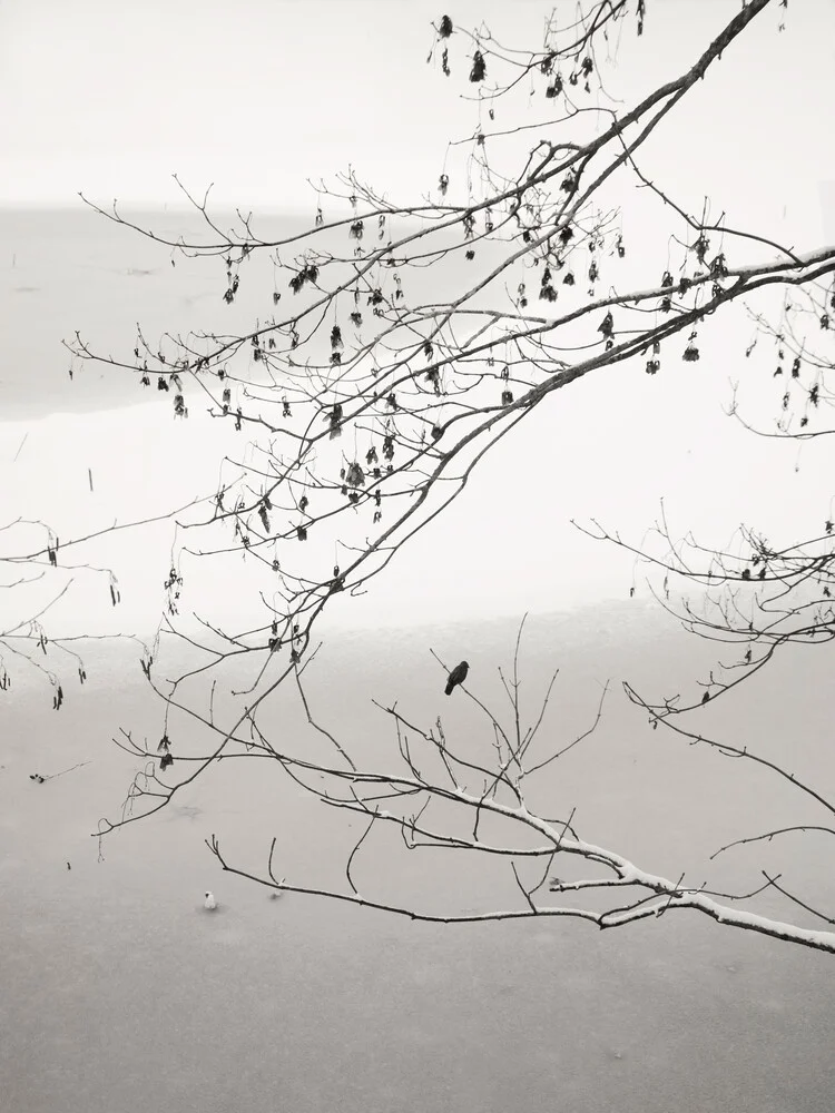 On The Frozen Pond - fotokunst von Lena Weisbek