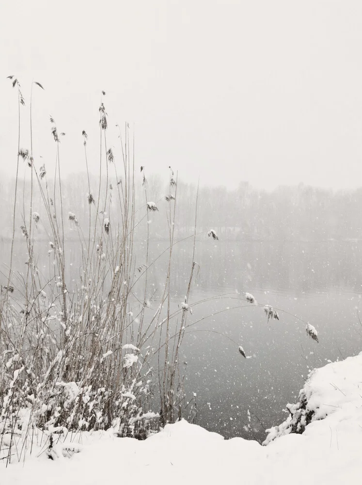 Snowfall At Lake - fotokunst von Lena Weisbek