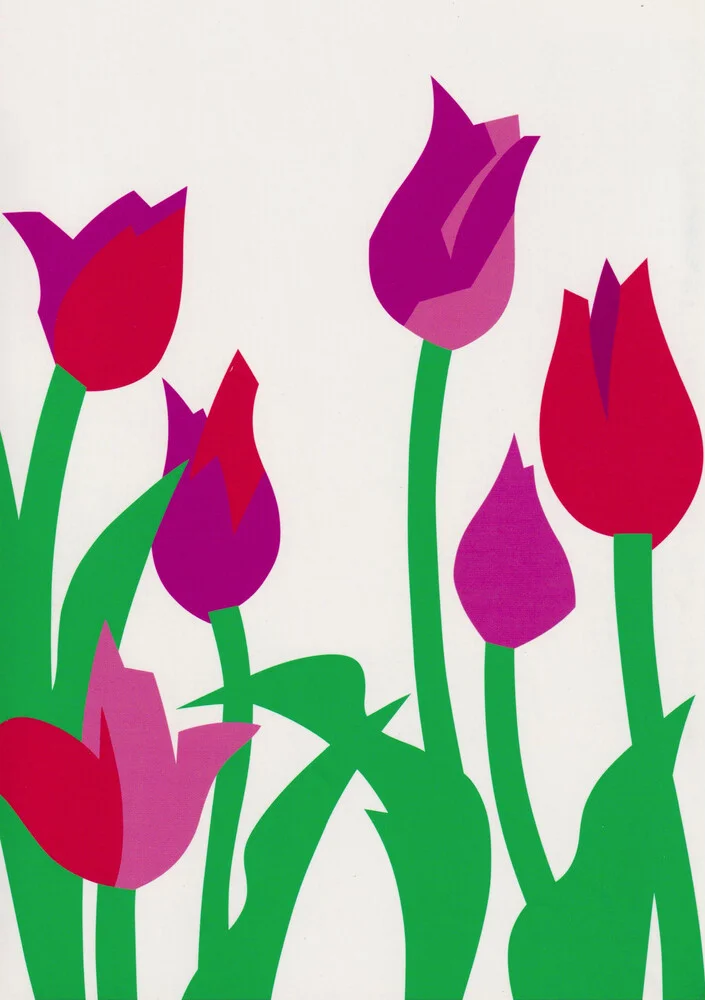 Tulpen - fotokunst von Zenji Funabashi