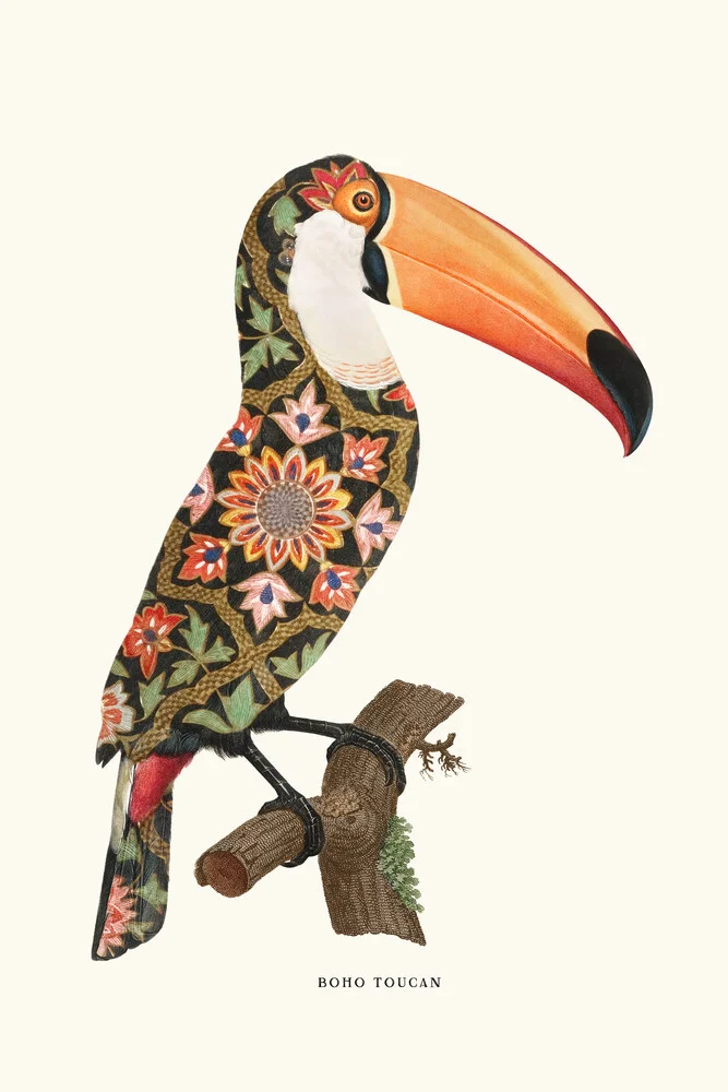 Boho Toucan - fotokunst von Jonas Loose