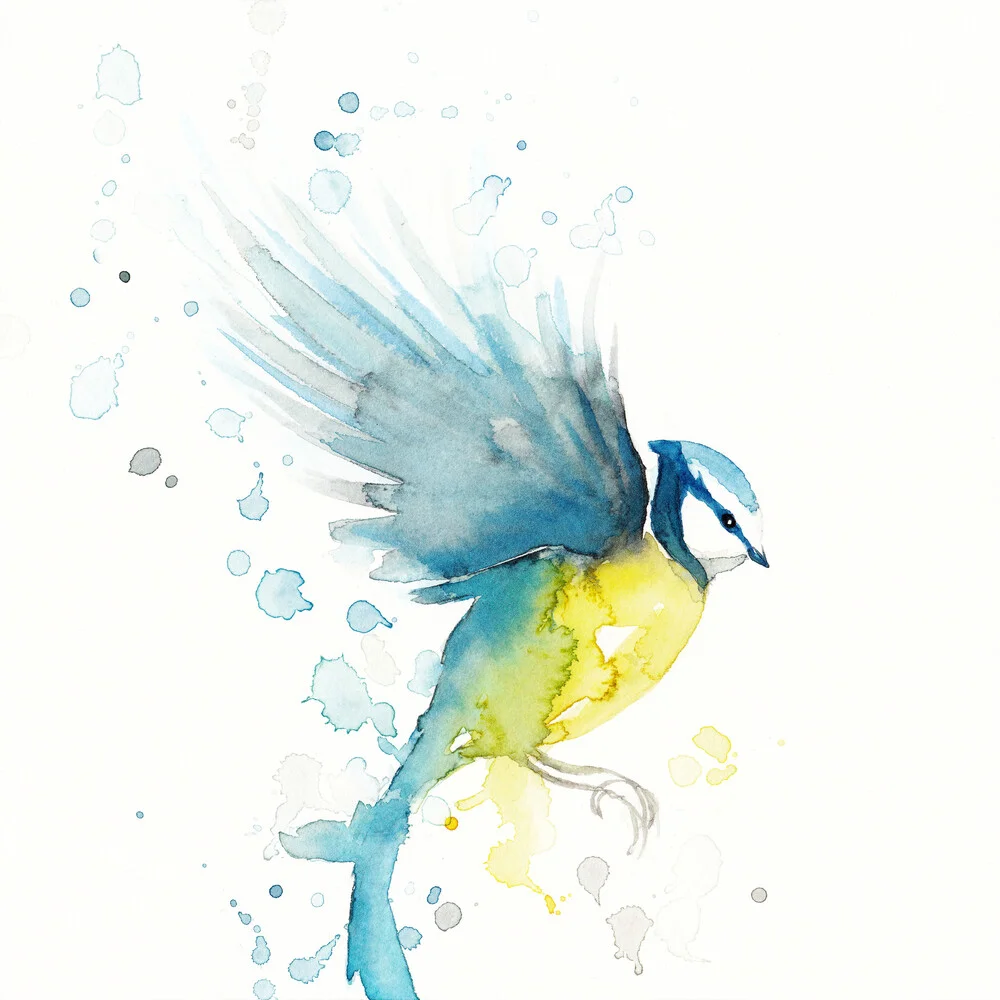 Blue bird - fotokunst von Marta Casals Juanola