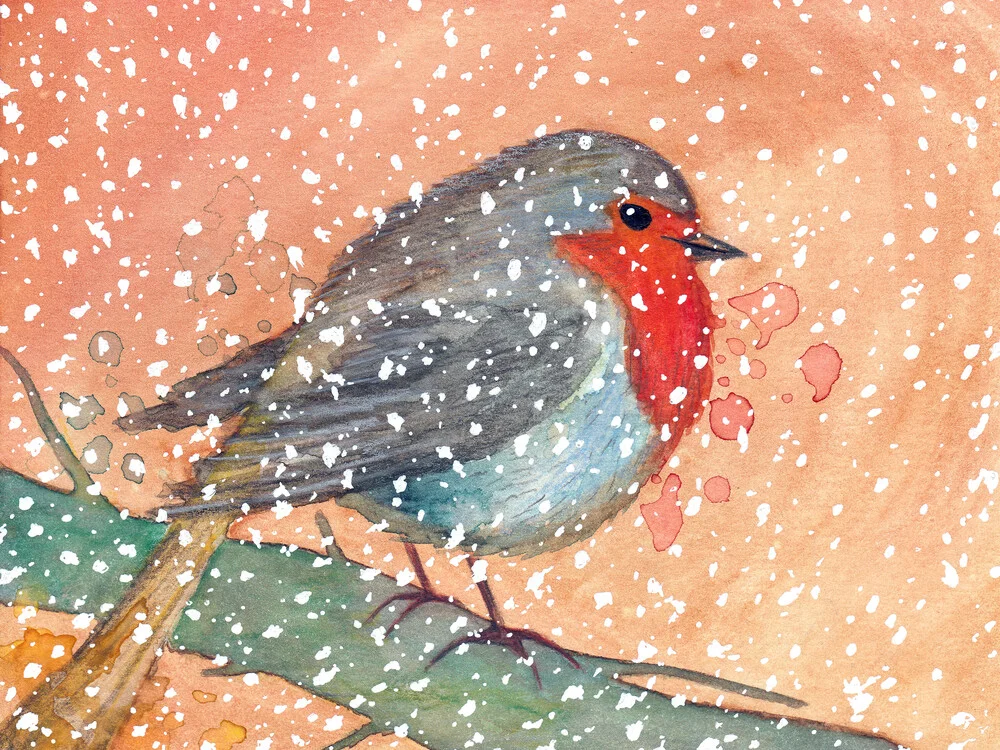 Winter robin - Fineart photography by Marta Casals Juanola