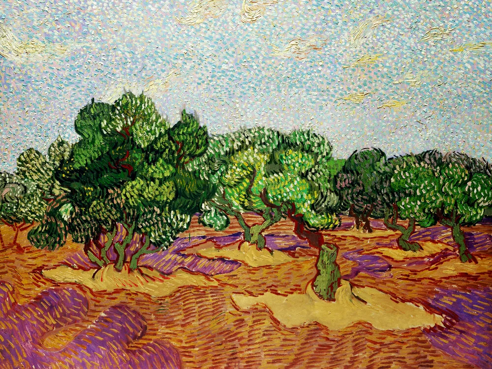 Vincent Van Gogh: Olivenbäume - fotokunst von Art Classics
