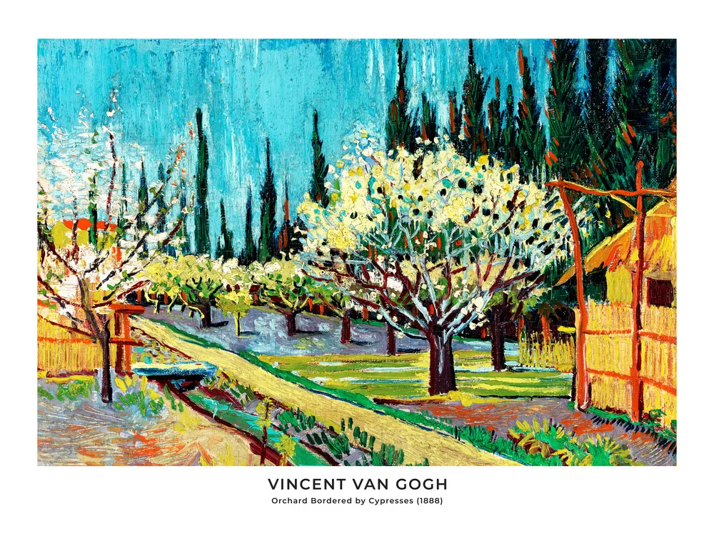 Vincent Van Gogh: Obstgarten umgeben von Zypressen - Ausst.poster - fotokunst von Art Classics